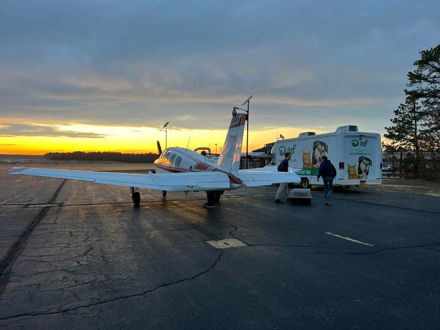 On the tarmac at East Hampton Aiport.
