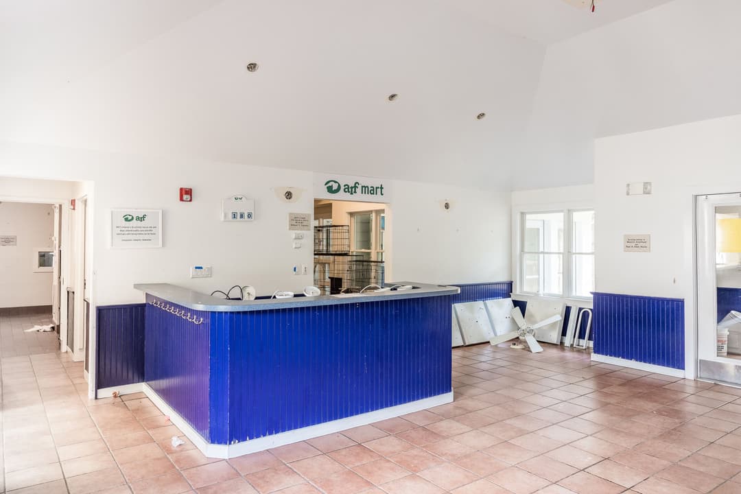 8.7.2021 Lobby View toward Catteries, photo Lena Yaremenko