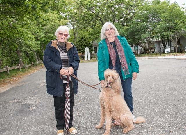 Zoe-Kamitses-ARF-board-Charlie-Dickens-Susan-Burke