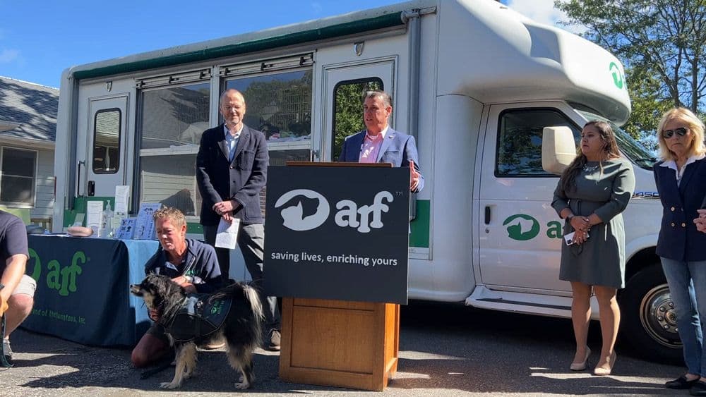 New York State Senator Anthony Palumbo urges Governor to sign the Puppy Mill Pipeline bill.