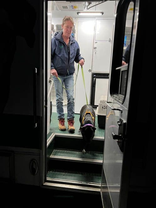 Debbie unloads Sassy at ARF.