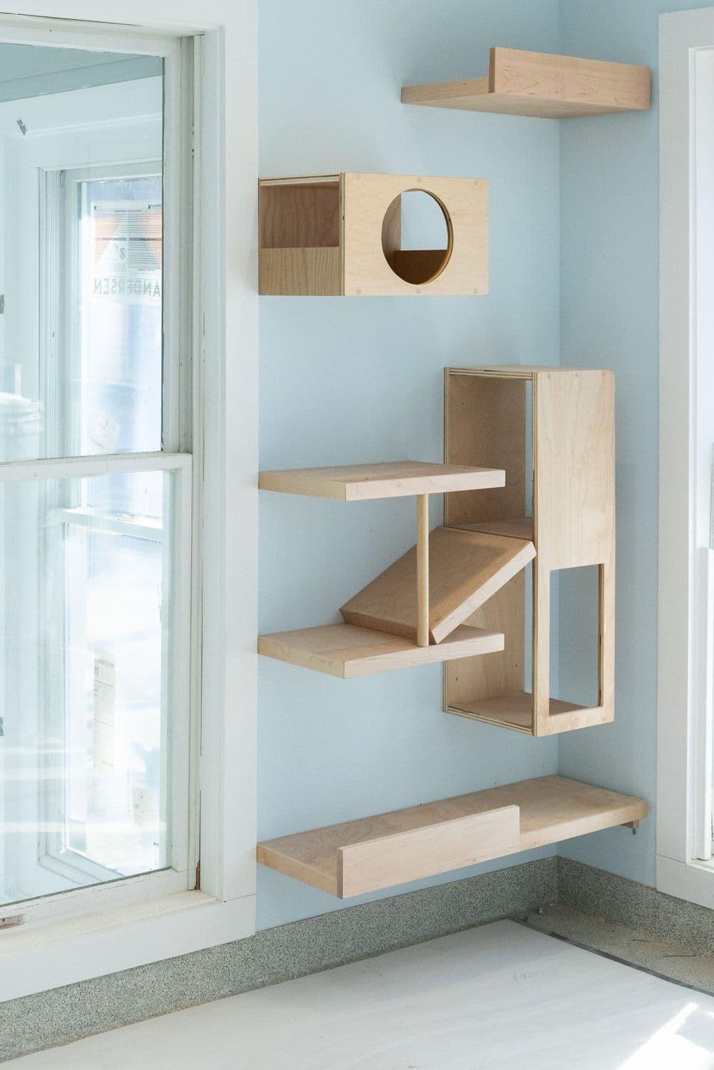 2.11.2023 Cattery Climbing Wall, photo Lena Yaremenko