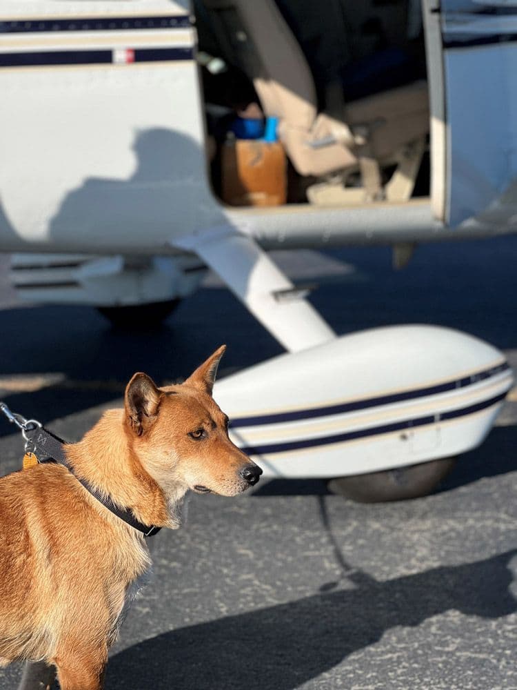 Momma Zia takes in the scenery in East Hampton.