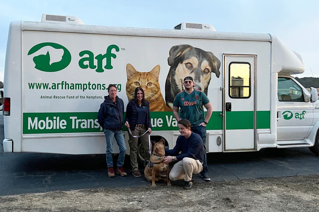 ARF's Debbie Down and Cindy LeRoy with Zeus , and Four Legged Fliers Charles Canavan and Jan Brentjens.