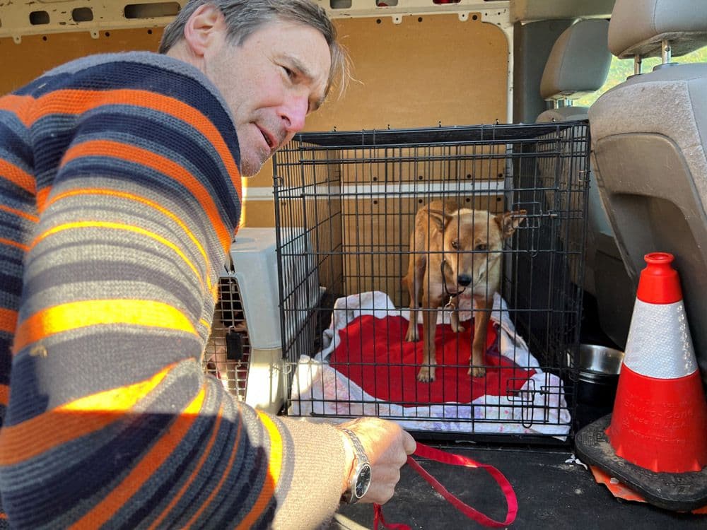 Dr. Dempsey helps load Zia into the ARF van.