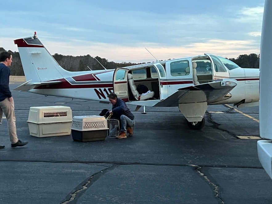 ARF's Debbie Downs helps to unload the plane.