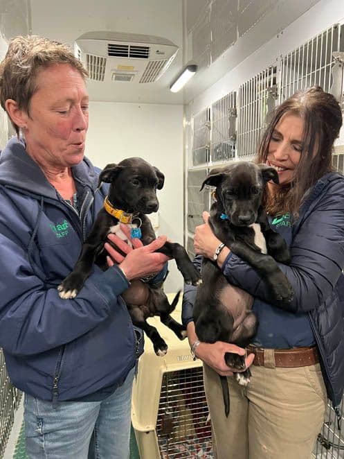 Venmo and Vonda with Debbie and Cindy.