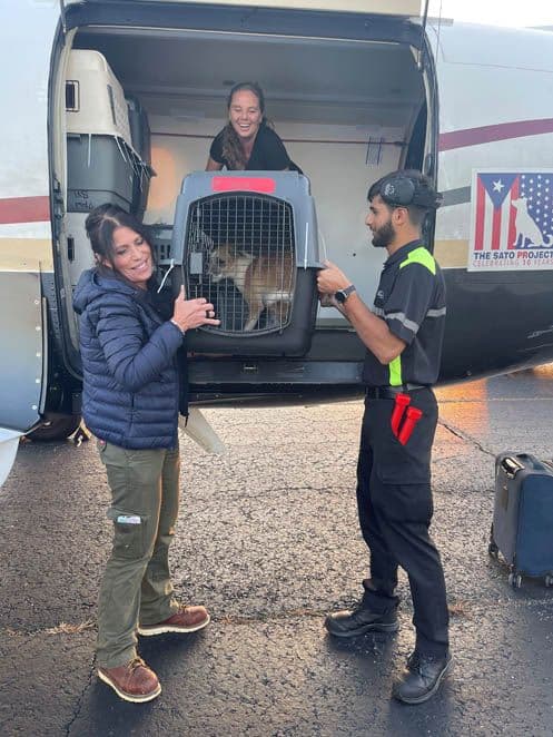 ARF's Cindy LeRoy helps to unload the dogs.