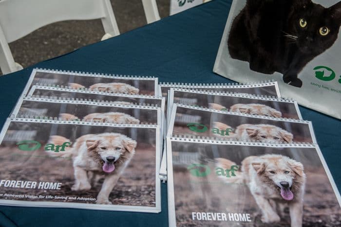 General-party-image-5