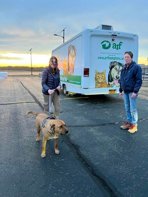 Zeus gets to stretch his legs.