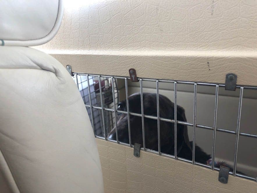 More precious cargo.