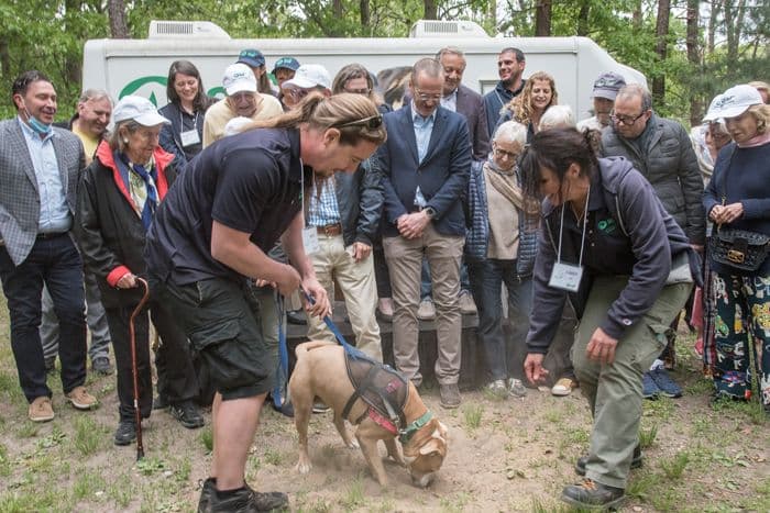 Smushie-digging-the-first-hole