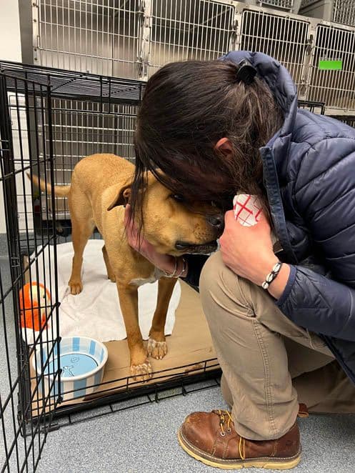 Cindy comforts Zeus.