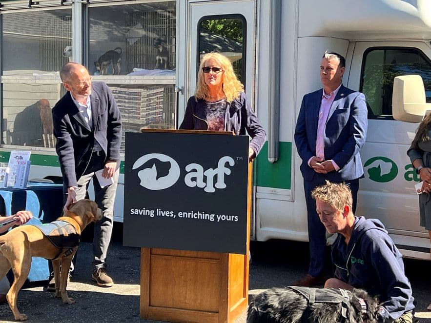 Kent Executive Director Pam Green