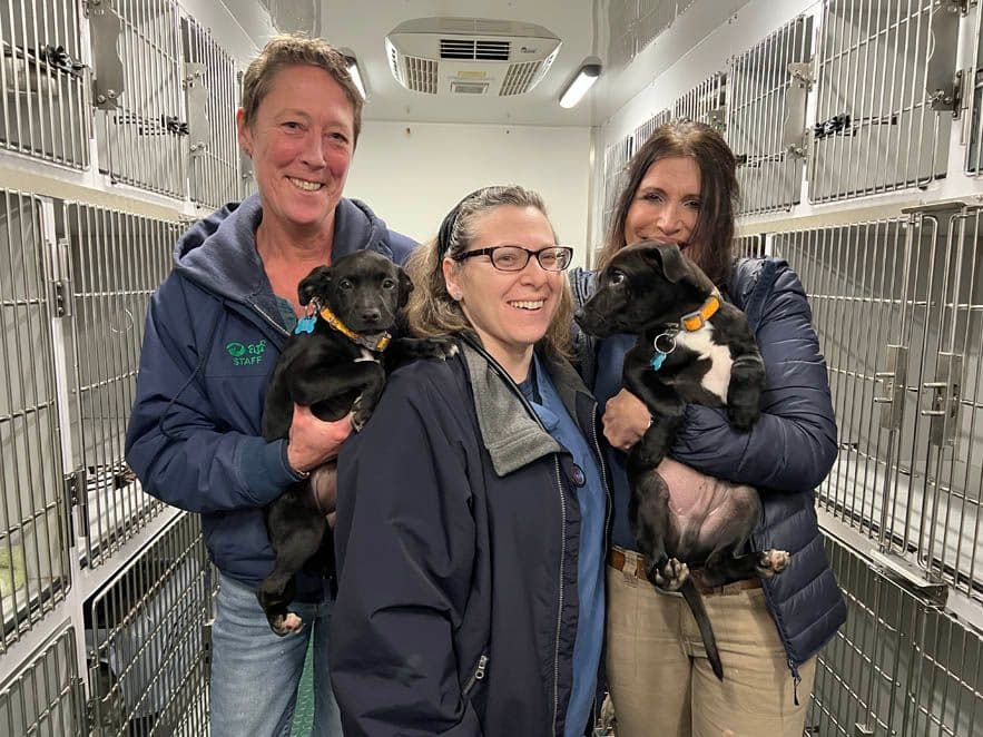 All smiles now that the dogs are safe at ARF.