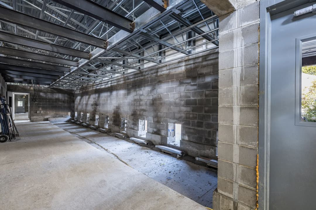 10.11.2022 Kennel East Adoption Corridor, photo Lena Yaremenko