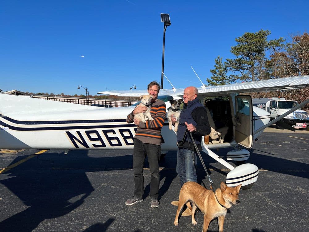 Back on the ground in East Hampton.