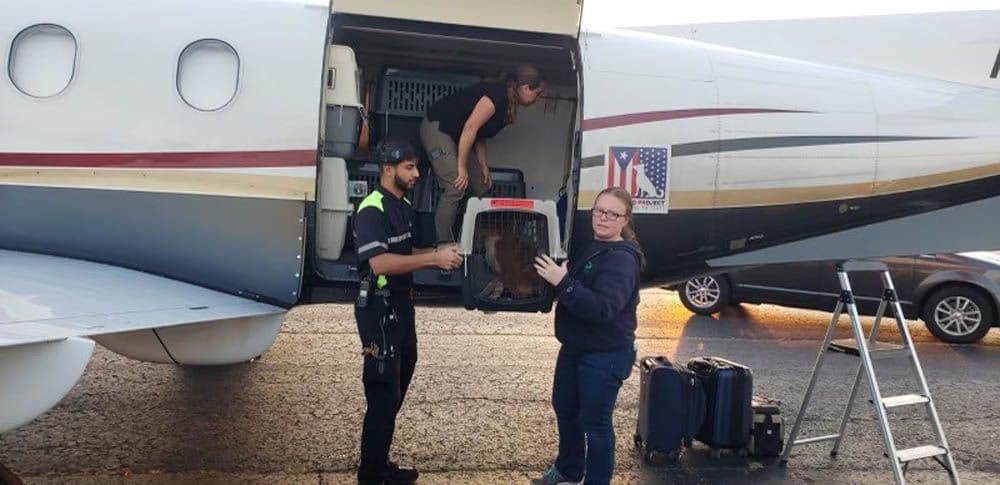 ARF's Jessica Tilton (on right) helping to unload.