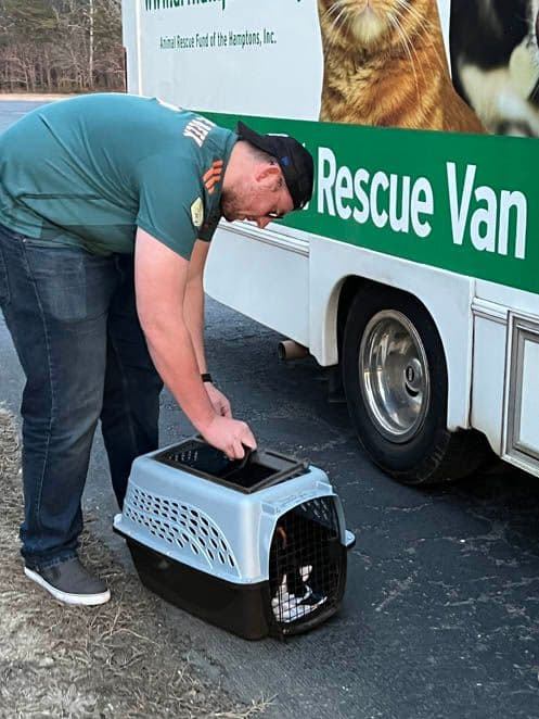 Jan checks on our puppy passengers.