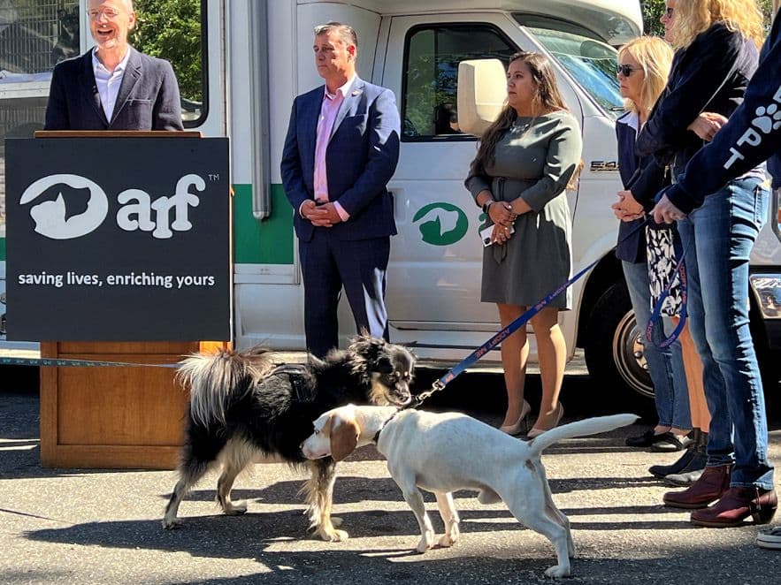 Dogs-Lola-from-ARF-and-Marley-from-SASF-say-hi