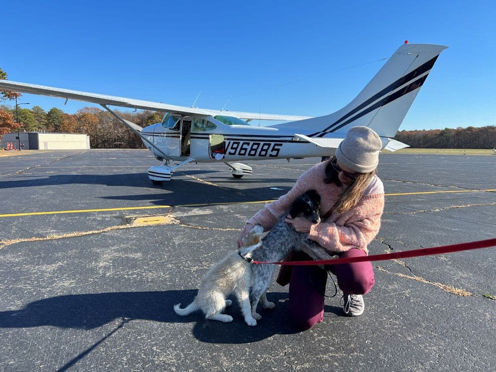 Lauren Dempsey, Dr. Dempsey's wife meets some of the puppies.
